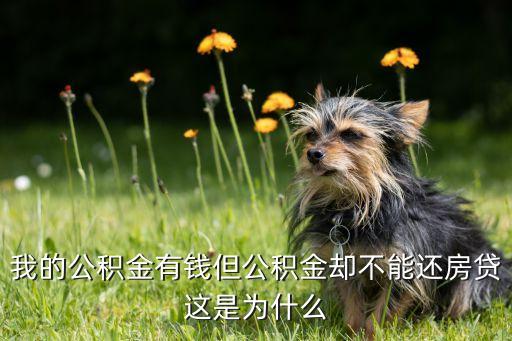 為什么公積金不可以還貸，公積金為什么不能直接還房貸啊郁悶