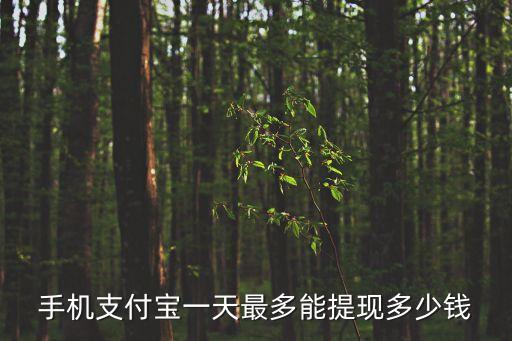 支付寶單日提現(xiàn)限額是多少，支付寶每天的最大提現(xiàn)金額是多少錢