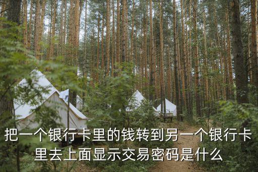 轉(zhuǎn)賬的交易密碼是什么樣的，把一個(gè)銀行卡里的錢轉(zhuǎn)到另一個(gè)銀行卡里去上面顯示交易密碼是什么