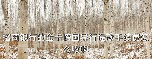 招商銀行的金卡跨國異行提款手續(xù)費怎么收啊