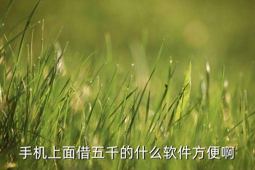 什么手機軟件可以貸款5000，什么樣的手機平臺最簡單 最快可以貸款5000元