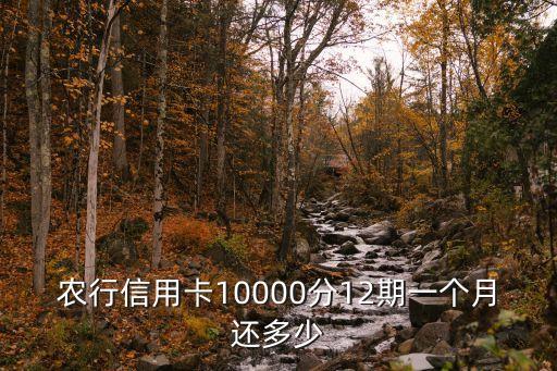 農(nóng)行信用卡10000分12期一個(gè)月還多少