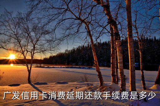 廣發(fā)銀行怎么延期還款利息是多少，廣發(fā)信用卡消費(fèi)延期還款手續(xù)費(fèi)是多少