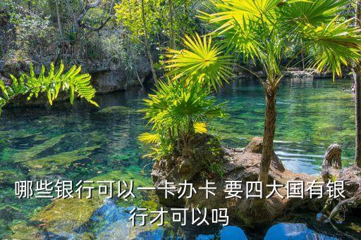 哪些銀行可以一卡辦卡 要四大國有銀行才可以嗎