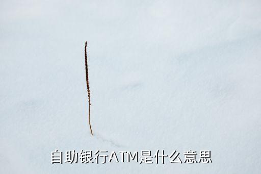 自助銀行ATM是什么意思