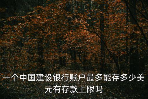 一個(gè)中國(guó)建設(shè)銀行賬戶最多能存多少美元有存款上限嗎