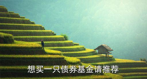 什么債券基金比較穩(wěn)，什么樣的債券型基金收益最好最穩(wěn)定