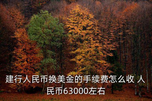 建行付美元手續(xù)費多少，建行人民幣換美金的手續(xù)費怎么收 人民幣63000左右