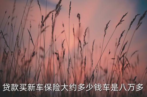貸款買新車保險(xiǎn)大約多少錢車是八萬多