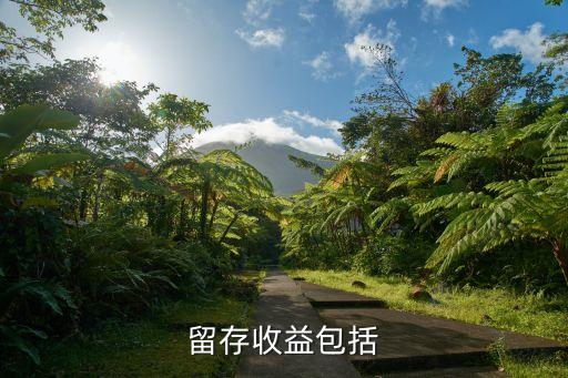 留存收益包括