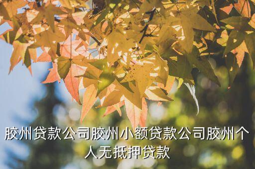 膠州貸款公司膠州小額貸款公司膠州個人無抵押貸款