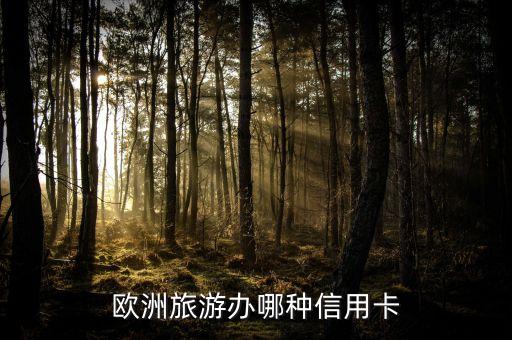 歐洲旅游辦哪種信用卡
