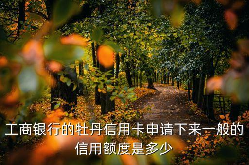 工商銀行的牡丹信用卡申請(qǐng)下來(lái)一般的信用額度是多少