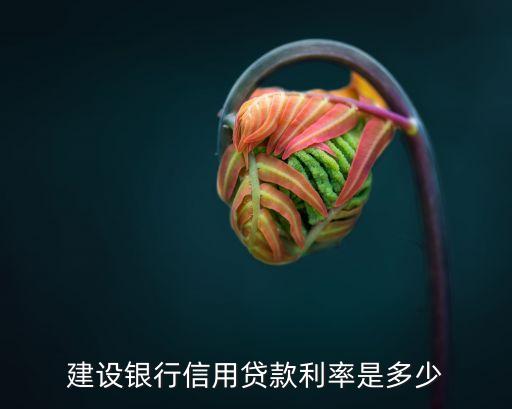 最新信用貸款利率是多少錢，信用貸款利息是多少