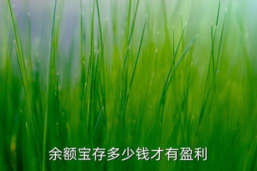 余額寶存多少錢有收益，余額寶存多少錢才有盈利
