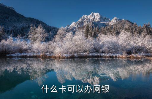 什么卡可以辦網(wǎng)銀
