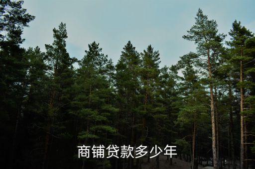 商鋪貸款多少年