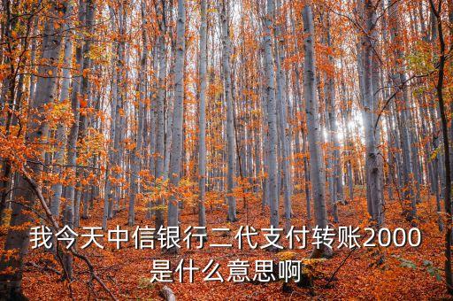 我今天中信銀行二代支付轉(zhuǎn)賬2000是什么意思啊