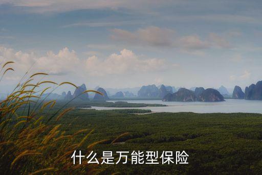 什么是萬能型保險