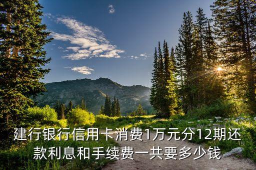 建行銀行信用卡消費1萬元分12期還款利息和手續(xù)費一共要多少錢