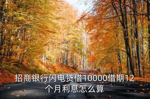 招商銀行閃電貸借10000借期12個(gè)月利息怎么算