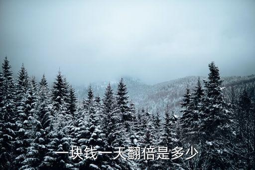 一塊錢(qián)一天翻倍是多少