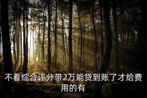 不看綜合評分帶2萬能貸到賬了才給費用的有