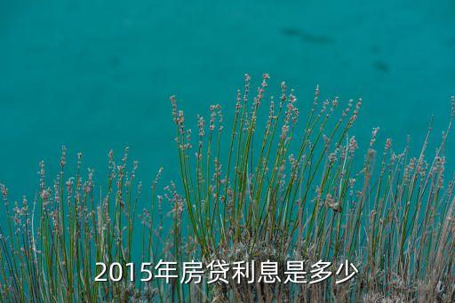武漢貸款利率是多少2015年，2015年銀行房貸款利率是多少