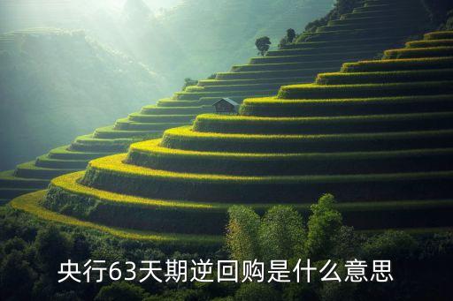 什么是利率中樞，投資債券型基金有什么策略
