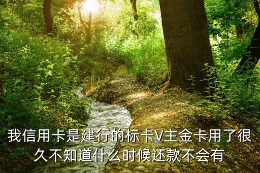 標(biāo)卡v主金是多少日還款，我信用卡是建行的標(biāo)卡V主金卡用了很久不知道什么時(shí)候還款不會(huì)有