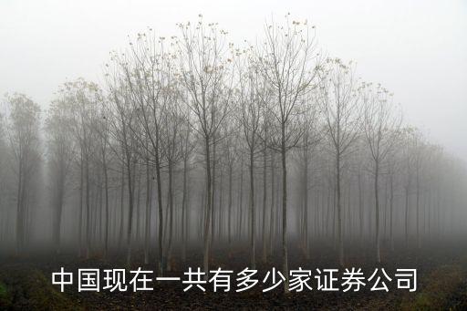 中國(guó)現(xiàn)在一共有多少家證券公司