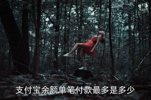 支付寶余額單筆付款最多是多少