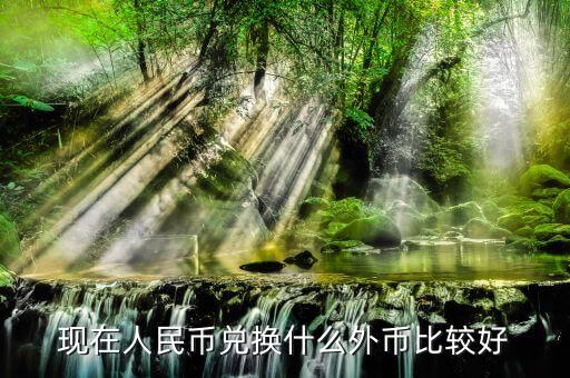 換什么外幣合適，想換些外幣保值請(qǐng)問換哪種外幣較好