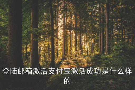 登陸郵箱激活支付寶激活成功是什么樣的