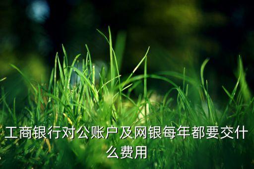 工商銀行對(duì)公賬戶及網(wǎng)銀每年都要交什么費(fèi)用
