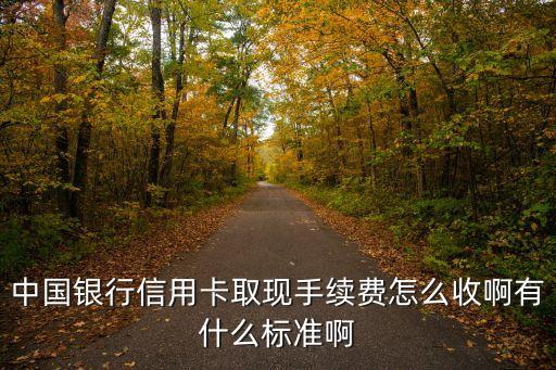 中國銀行信用卡取現(xiàn)手續(xù)費(fèi)怎么收啊有什么標(biāo)準(zhǔn)啊