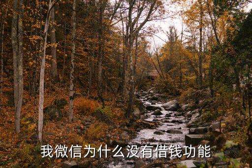 為什么我微信沒有借款，我微信為什么沒有借錢功能