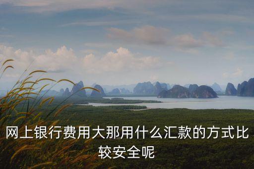 網(wǎng)上銀行費(fèi)用大那用什么匯款的方式比較安全呢