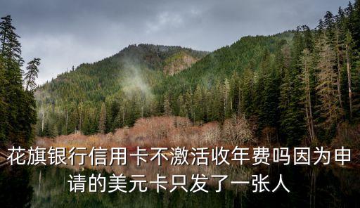 花旗銀行信用卡不激活收年費嗎因為申請的美元卡只發(fā)了一張人