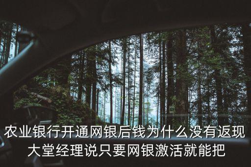 農(nóng)業(yè)銀行開通網(wǎng)銀后錢為什么沒有返現(xiàn) 大堂經(jīng)理說只要網(wǎng)銀激活就能把