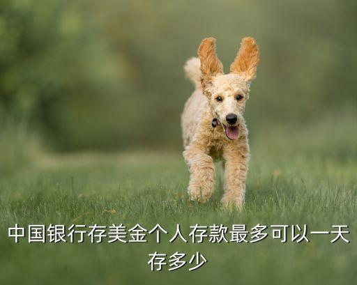 中國(guó)銀行存美金個(gè)人存款最多可以一天存多少