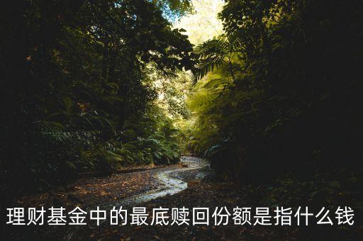 理財(cái)基金中的最底贖回份額是指什么錢