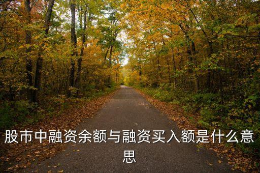 融資余額和融資買入額是什么意思，請(qǐng)問融資余額和融資買入額是什么意思呢