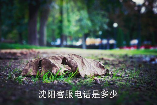 沈陽(yáng)客服電話是多少