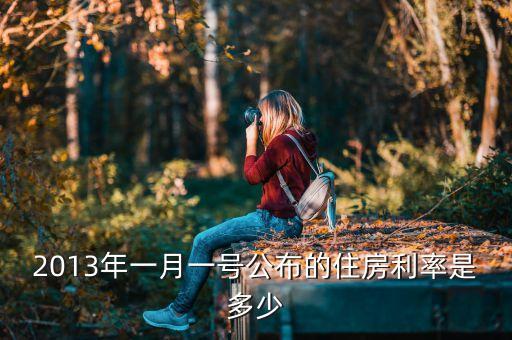 2013年一年貸款利率是多少，2013年一月一號(hào)公布的住房利率是多少