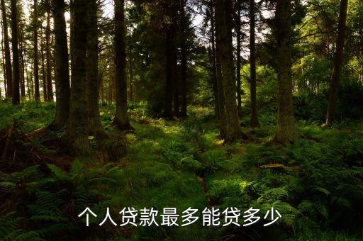 個(gè)人貸款最多能貸多少