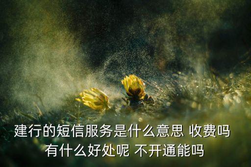 建行的短信服務(wù)是什么意思 收費(fèi)嗎 有什么好處呢 不開通能嗎