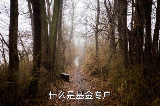 基金公司專戶是什么，什么是基金專戶