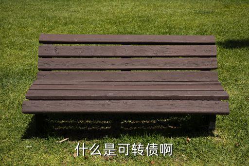 上市公司可轉(zhuǎn)債是什么，什么是可轉(zhuǎn)債啊