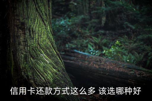 信用卡用什么還款好，信用卡還款用什么軟件好